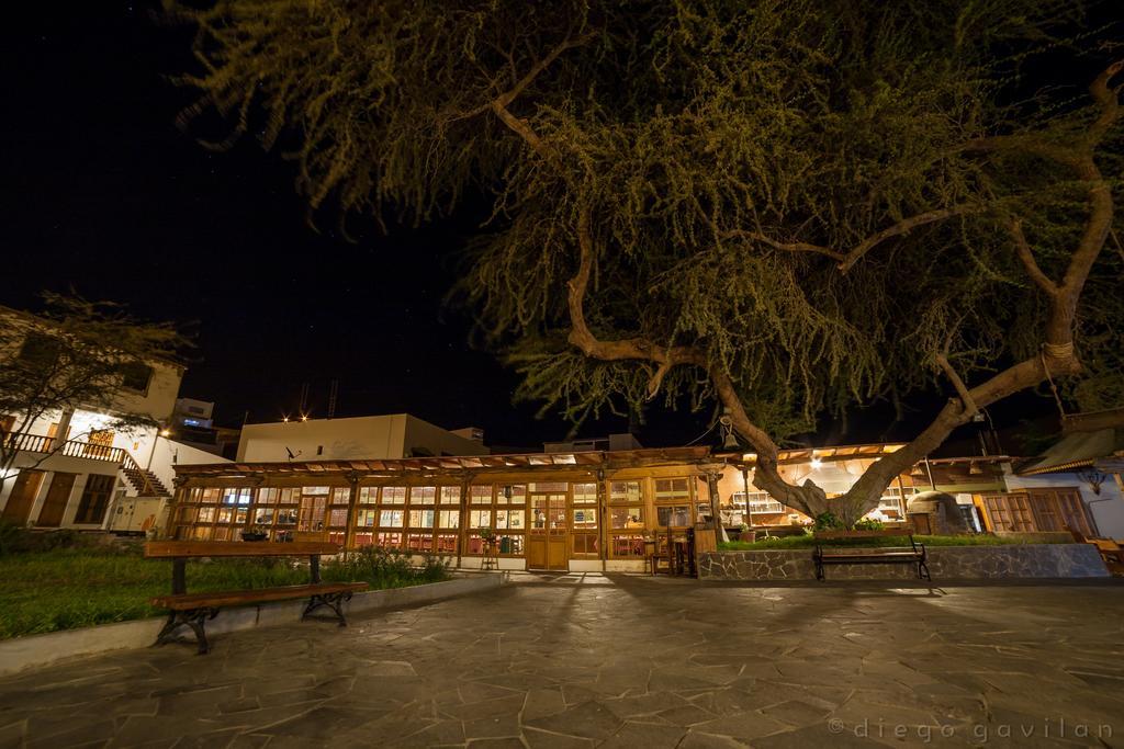 Hotel El Huarango Ica Exteriér fotografie